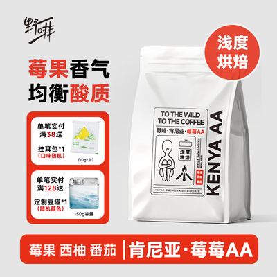 野啡手冲咖啡豆肯尼亚水果调干净