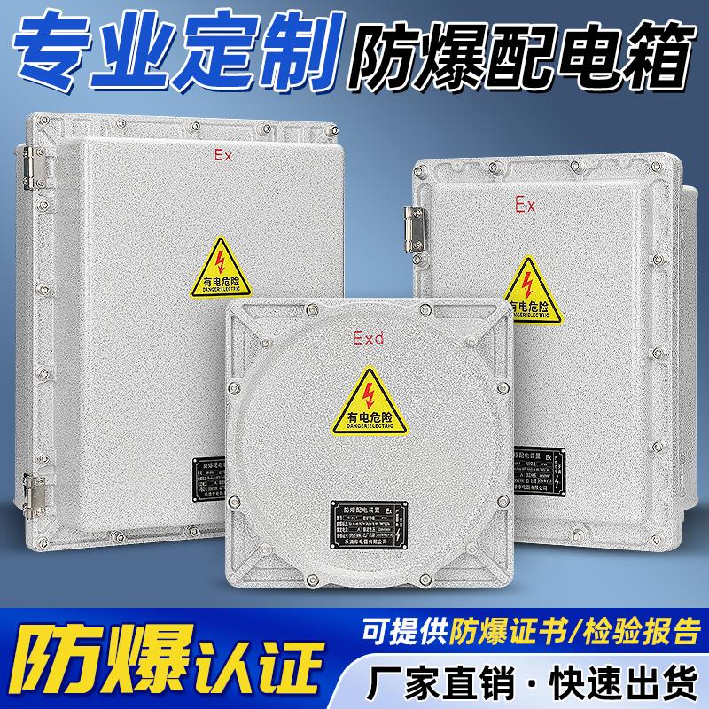 防爆配电箱空箱动力照明控制柜检修仪表监控电源箱防爆接线箱定制