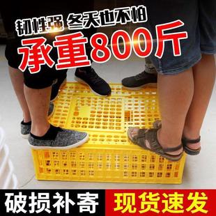 鸡笼运输笼塑料家禽周转箱筐成鸡鸭鹅鸽子笼子家用大号兔笼养殖
