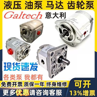 GALTECH齿轮泵1SP-06325