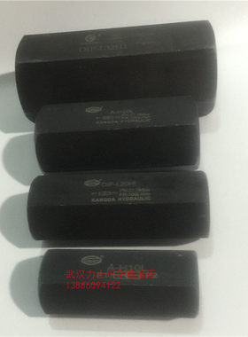 管式直通止逆阀 A-H10L/20L/32L DIF-L10H/20H/32H  CIT-02/03/04