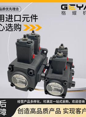 GEYAO格耀 VP-2020-FA3 4040 FA2 3030 1515 1212 FA1 XH双联油泵