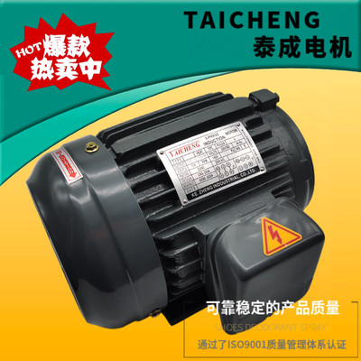 TAICHENG泰成液压站电机