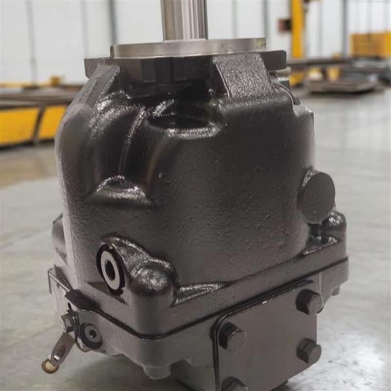 现货萨奥柱塞泵ERL100BLS2520NNN3K5APA1NNNNNNNNNN-830018