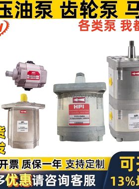 法国HPI齿轮油泵P1BAN1004 P0 P3 P1 M3 BAN AAN CBN 30 20 10 31