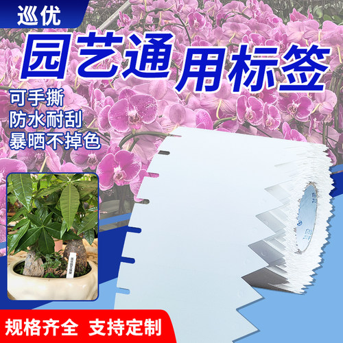 园艺标签植物插牌蝴蝶兰吊牌