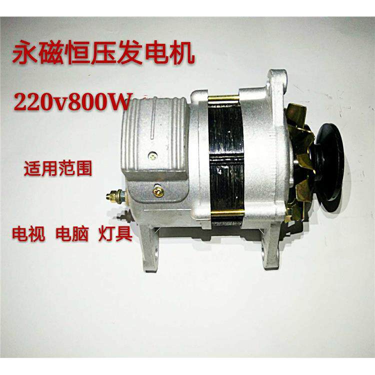 皮带轮式永磁220v800w瓦小型全新纯铜线包大功率家用交流发电机