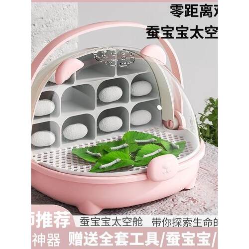 蚕宝宝太空舱学生养蚕套装蚕卵活物幼蚕观察饲养盒箱桑叶豪华别墅