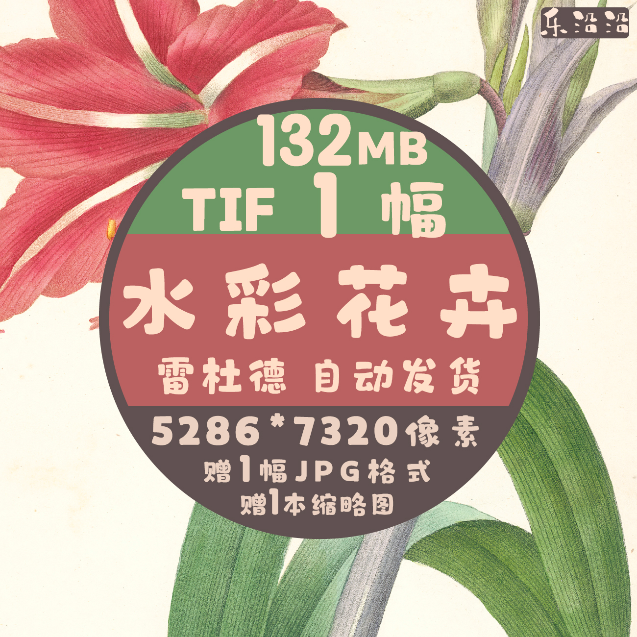 雷杜德高清水彩花卉图集插画手绘花草植物淡彩淡雅唯美插画装饰画