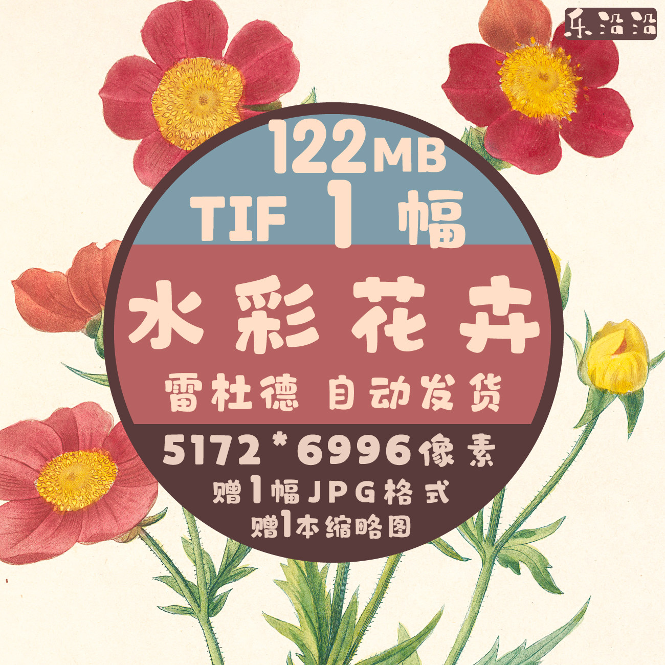 雷杜德高清水彩花卉图集插画手绘花草植物淡彩唯美插画装饰画临摹