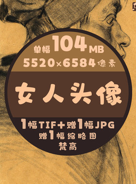 女人头像肖像素描速写线描超高清图梵高单幅作品临摹素材印刷壁纸