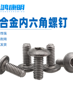 纯钛TA1圆杯钛合金螺钉半圆头内六角机螺钉钛螺丝防腐M2M2.5M3M4