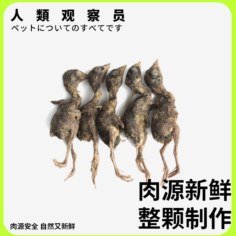 冻干鹌鹑猫狗零食营养