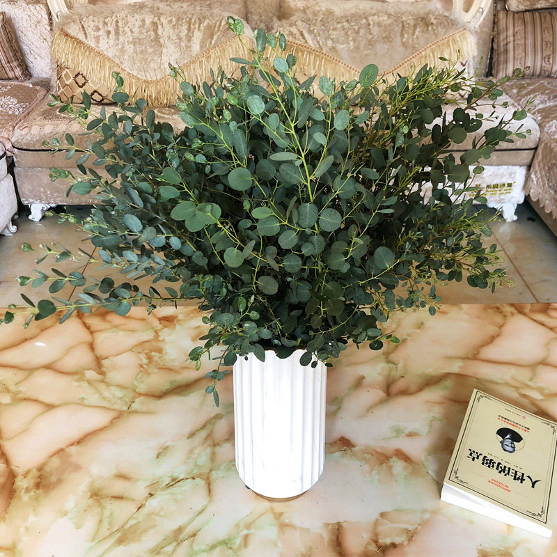 鲜花花束云南直发尤加利叶水晶草黄莺家居摆设网红鲜花插配草送花