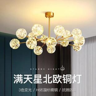 room chandelier The living full copper. Nordic