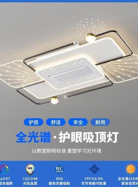 Leafless Fanlights sucking on the top lamproom 2025, a new h