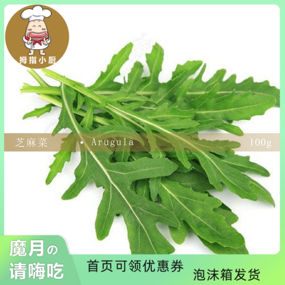 【魔月】芝麻菜火箭菜100g新鲜