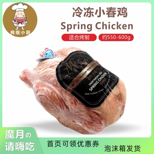 600g西餐烤鸡 冷冻春鸡净膛小春鸡SpringChicken1只约550 新货