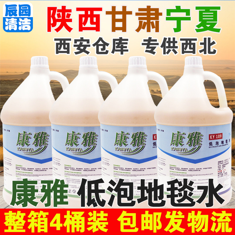 康雅整箱低泡地毯客厅除螨清洁剂
