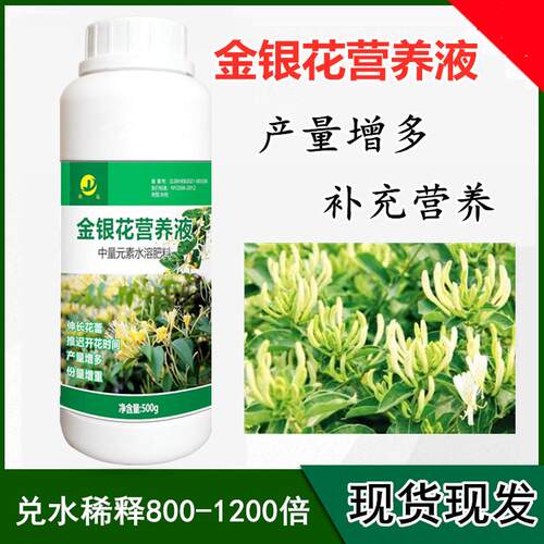 促进花芽健壮专用叶面肥金银花营养液增加产量提高等级调节生长剂