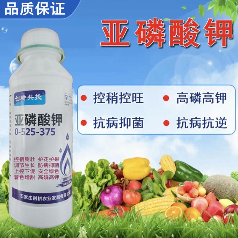 亚磷酸钾控旺药叶面肥控稍促花素膨大上色果树蔬菜水稻花卉无公害