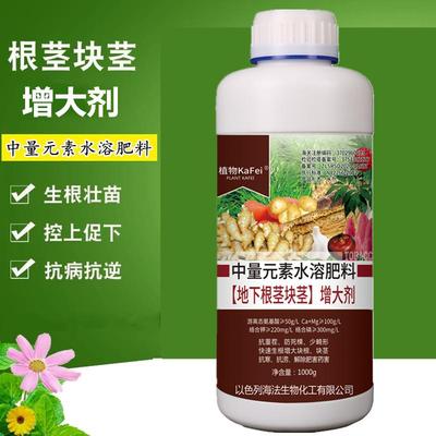 根茎块膨大丰产素药材葱姜蒜花生红薯土豆控旺增产专用膨大叶面肥
