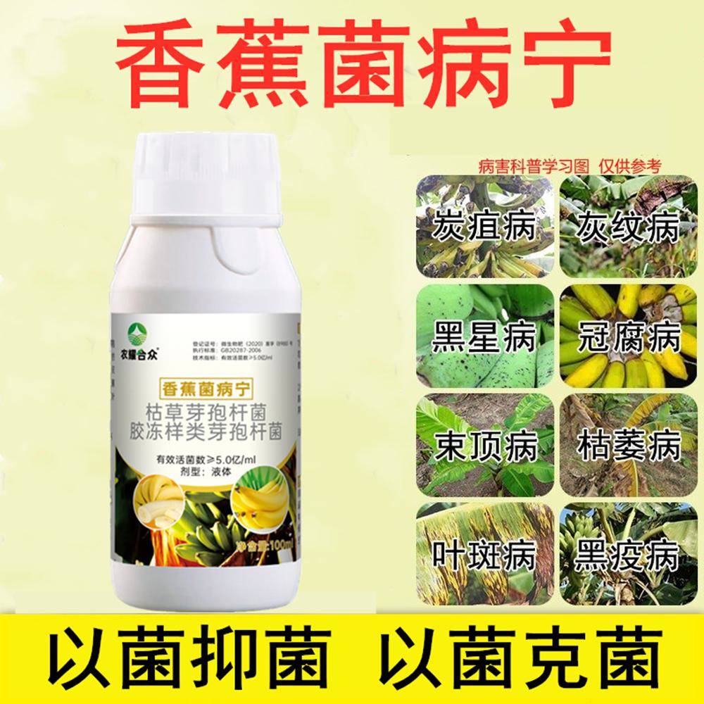 香蕉树专用药 疫菌清 黄叶病叶斑病根腐病束顶病香蕉杀菌药叶面肥