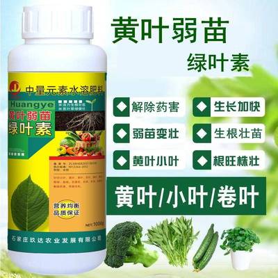 黄叶死苗一喷绿叶面肥叶绿素营养液绿植物花卉大田竹子月季黄叶病