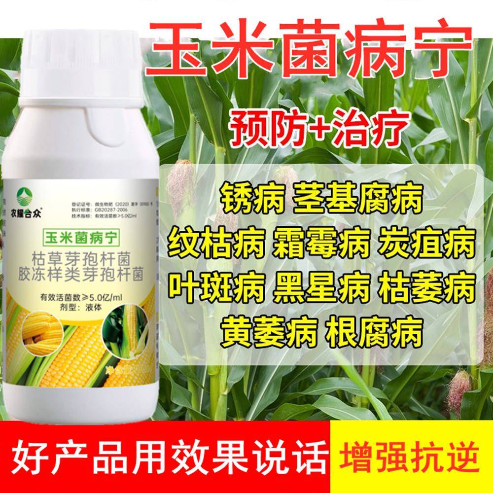 玉米大斑病专用药病菌清非农药预防黄叶卷叶根腐纹枯病锈病杀菌剂