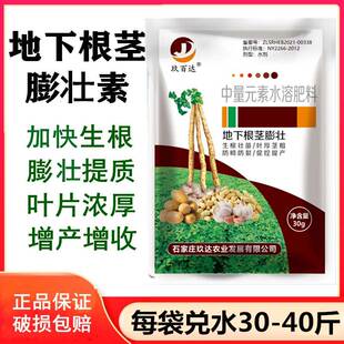 地下根茎膨大素土豆红薯萝卜山药地瓜姜蒜块根块茎叶面肥促长控旺