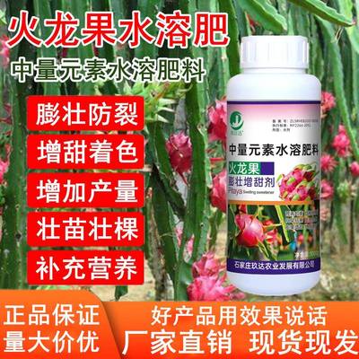 火龙果专用药膨大素授粉座果灵保花保果药营养防落火龙果树水溶肥