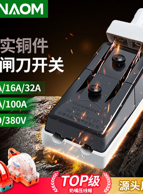 HK2 2P-32A耐用型开启式负荷开关3p传统刀闸63A16A闸刀断电开关