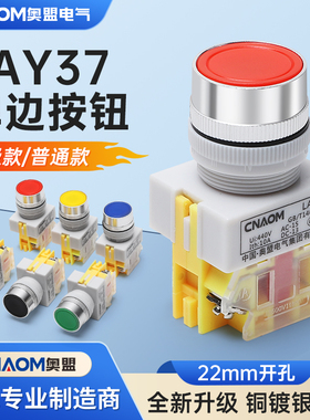奥盟LAY37-10BN单边自复位自锁平头按钮开关Y090一常开或一常闭