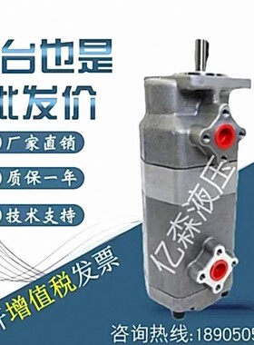 HYDROMAX新鸿双联齿轮泵HGP-33A-F1414RF2323R 2525R 2828R 3030R