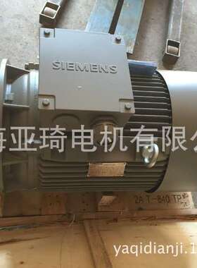 1LA7163-4AA99-Z 或1LE15011DB233CA4-Z进口电机