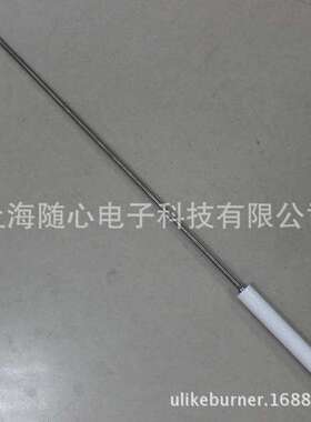 离子探针/火焰探测棒 | BGN系列 Baltur/百得 燃烧器配件-意大利