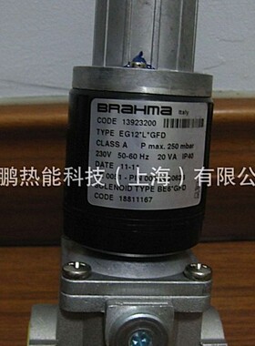 E6G*S8*1/4*GMO意大利BRAHMA燃气电磁阀现货质保一年