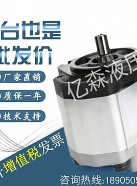 布雷维尼BREVINI齿轮泵OT200P04/06/08/11/14/16/20/22/25/28/30