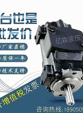 Denison丹尼逊叶片泵T7B/T7BS-B10/02/03/04/05/06/07-1R00-A1M0