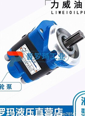 合肥力威 汽车油泵重发KMS徐重吊车转向助力泵QC25/14-KMSXZ