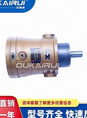 启东高压精工牌2.5/5/10/25/40/63/80/100/160/250MCY14-1B柱塞泵