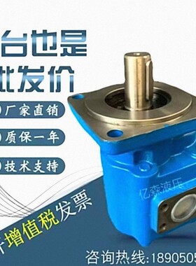 四川长江液压齿轮油泵CBXF3025/30323/3040/3050-1L/1R/2L/2R