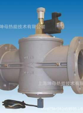 朱丽安尼giuliani电磁阀GSAV502R