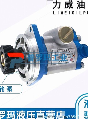 合肥力威1032300004转向泵中联重科浦沅吊车动力泵QC32/13-WP-PY