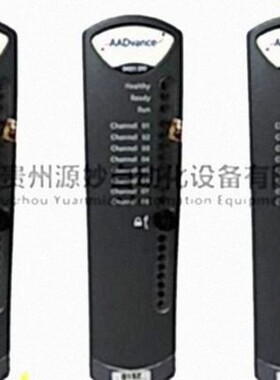 ICS TRIPLEX T8110B数字量输入模块