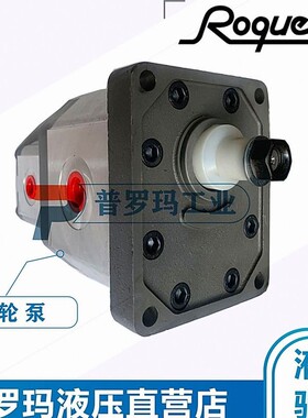 西班牙ROQUET齿轮泵1M1.5DF09R 1M0.5D09R 1M1D09R油泵原装进口