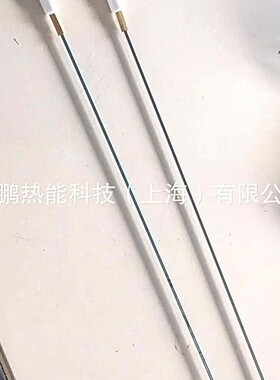 TBG45PV燃烧器离子探针/火焰探测棒意大利Baltur/百得技术支持