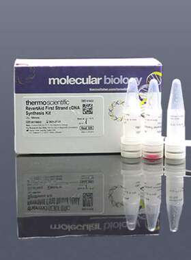 Fermentas K1622 RT逆转录试剂盒，100T/支