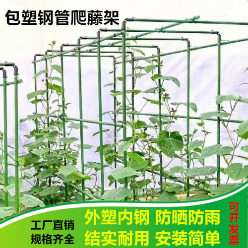门型包塑钢管葡萄架黄瓜豆角架