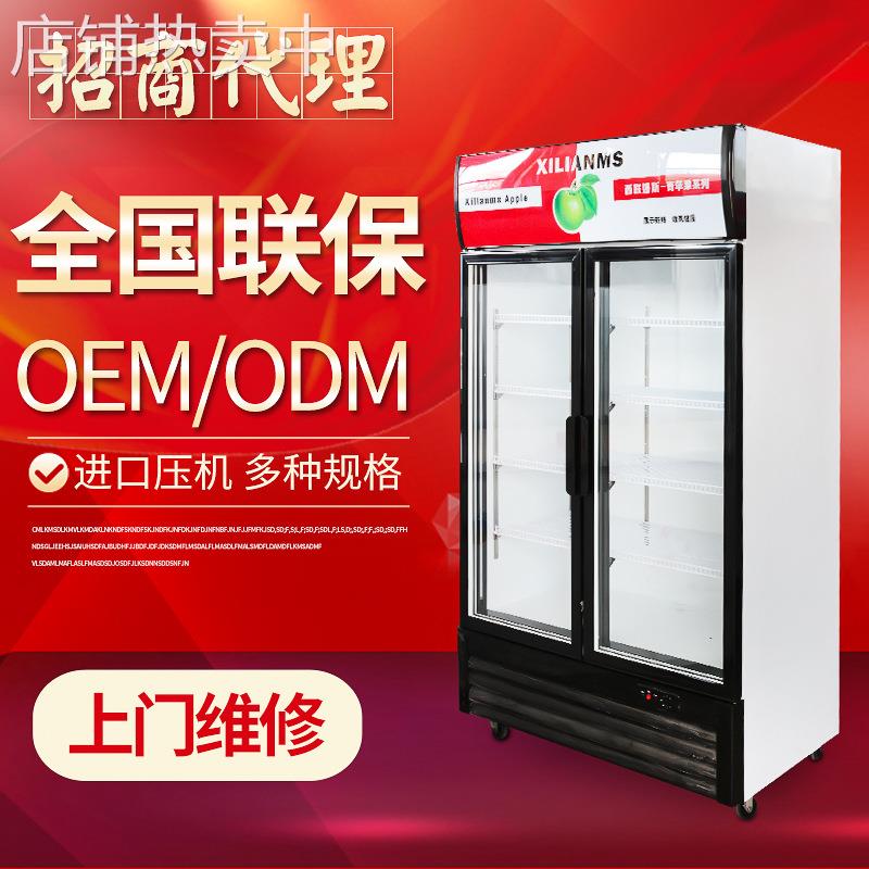 西联姆斯饮料展示柜 双开门立式冷藏柜 OEM定制商用饮品保鲜柜
